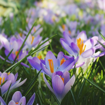 Adios Février, je prépare Mars zen et en beauté ! Olé !